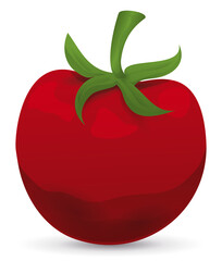 Isolated red and ripe tomato with green stem, Vector illustration