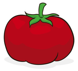 Fleshy and ripe tomato in cartoon style over white background, Vector illustration