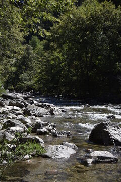 rocas en el rio
