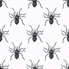 Seamless pattern with spider. Black and white ink graphic dangerous arachnid.