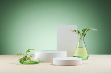 Front view of mugwort ( artemesia vulgaris ) decorated in petri dish glassware white poodium cosmetic jar and green background