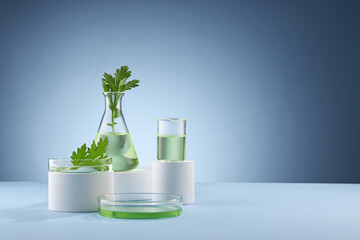 Front view of mugwort ( artemesia vulgaris ) decorated in petri dish glassware white podium blank space and blue background