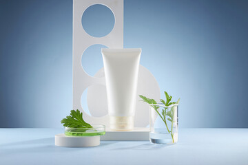 Front view of mugwort ( artemesia vulgaris ) decorated in petri dish glassware white podium cosmetic jar and blue background