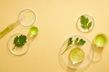 Top view of mugwort ( artemesia vulgaris ) decorated in petri dish glassware and beige background