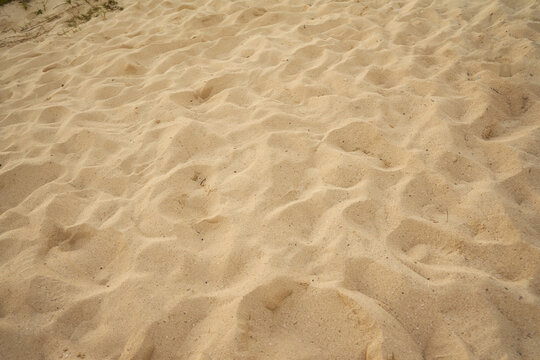 sand ripples on the beach