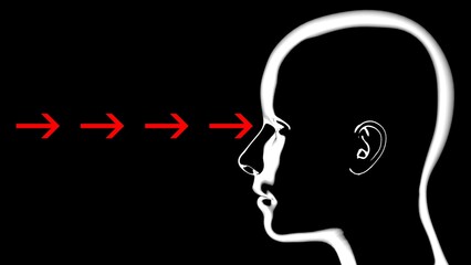 Arrows entering eyes of human silhouette.Person with arrows going inside eye. Stream of arrows enter eyes.Data streaming into head. 3d render illustration