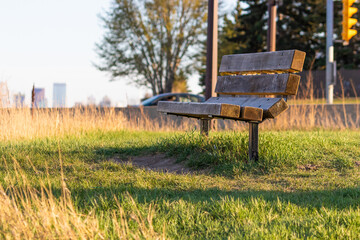 Park bench beside city street