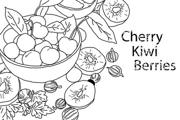 fruits and berries illustrated on a white background