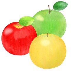 赤りんご　青りんご　黄りんご