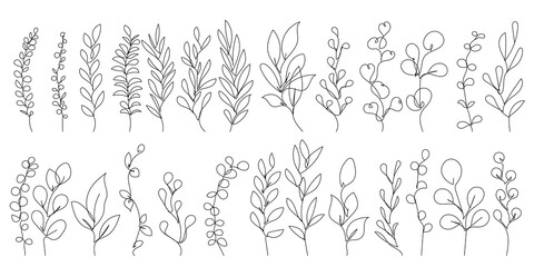Fototapeta na wymiar Continuous Line Drawing Of Plants Black Sketch of Flowers Isolated on White Background. Flowers One Line Illustration. Minimalist Botanical Art Design. Vector EPS 10.