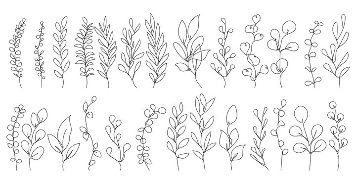 Continuous Line Drawing Of Plants Black Sketch of Flowers Isolated on White Background. Flowers One Line Illustration. Minimalist Botanical Art Design. Vector EPS 10.