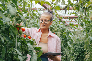 Millennial agronomist Woman farmer quality inspector holding tablet collecting data in greenhouse...