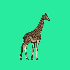 Fototapeta premium Pixel art giraffe on green background, 3D rendering