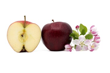 Red apple next to apple slices and apple blossoms