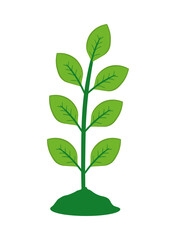 Fototapeta na wymiar plant foliage icon