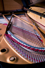 Inside of A Grand Piano