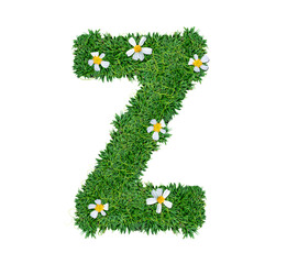 Alphabet Z green grass decorate with flower