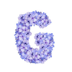 Floral Alphabet G hydrangea blossom  