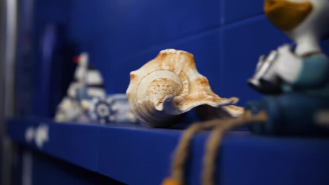 Marine figurines set up on shelf in blue bathroom, pan right