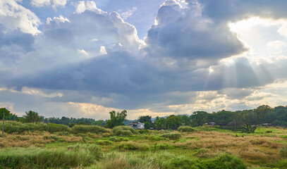 Obraz premium sunshine