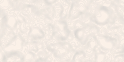 Abstract topographic contours map background. Vector geographic contour map. topography map background. White wave paper curved reliefs abstract background.	