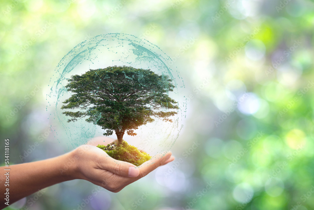 Wall mural Hand holding globe icon with growing trees and green nature blur background eco concept,copy space for text.