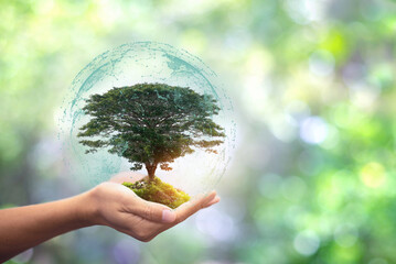 Hand holding globe icon with growing trees and green nature blur background eco concept,copy space...