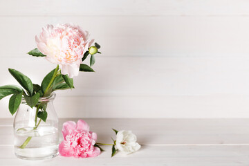 Vase with beautiful peony flowers on table