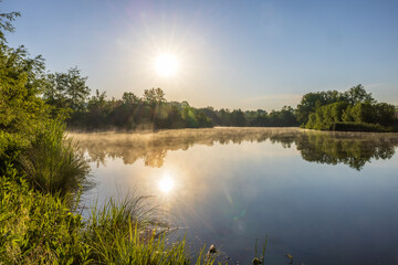 Beautiful lake with reeds in Ukraine - Powered by Adobe