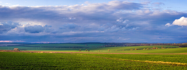 Obraz na płótnie Canvas Landscape view of green fields with wheat in Ukraine 
