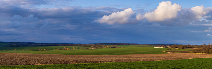 Fototapeta na wymiar Landscape view of green fields with wheat in Ukraine 