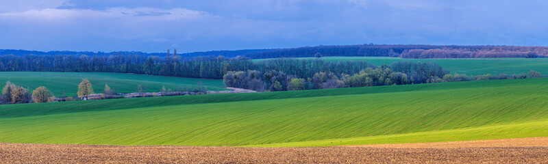 Rural green agricultural fields and hills in Ukraine