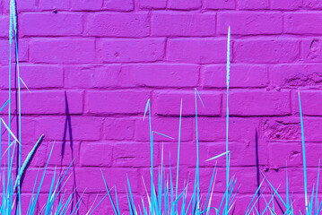 Abstract Background of purple,veri peri color brick wall pattern texture and herbaceous plants. Great for inscriptions.Copy space.Toned.