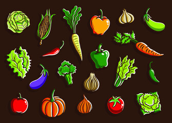 Vegetables set collection vector illustration  Agriculture and food theme design