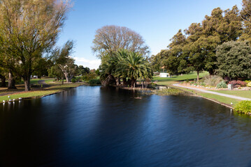 Fototapeta premium lake in the park