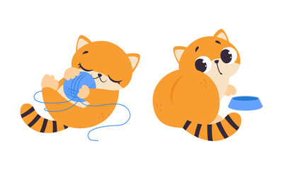 Funny Ginger Kitten with Striped Tail Playing with Clew and Feeding Vector Illustration Set