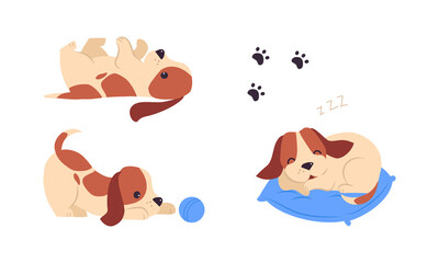 Obraz premium Jack Russell Terrier Puppy with Brown Spots Sleeping on Pillow and Playing with Ball Vector Set