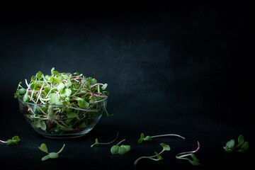 Sprout mix in a transparent bowl, copy space