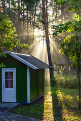 Green summer house in the rays of the sun in the pine forest at dawn