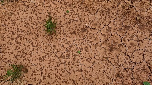 Top down shot of raining in the dry at daytime. Soil drought concept - lack of water, climate change, global warming. Rain drops falling on dry soil on background.