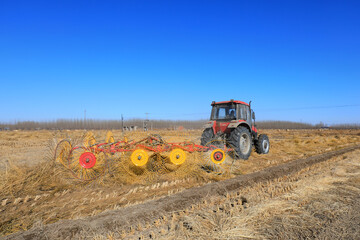 Obraz premium Farmers use a disc rake to collect straw in the field, North China
