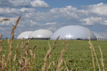 environnement agriculture agricole culture céréales blé orges escourgeons champs climat planète...