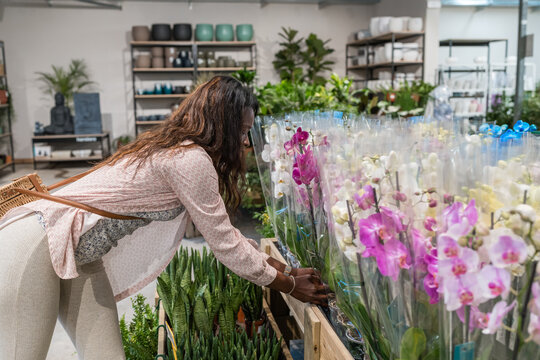 Woman Buying Flower Plants In A Flower Shop.