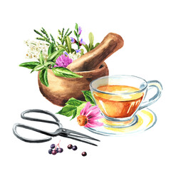 Medicinal plants for Herbal homemade tea. Alternative medicine, herbal collection. Hand drawn watercolor illustration, isolated on white background