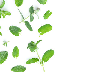 Concept of aromatherapy, mint isolated on white background