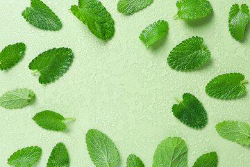 Concept of aromatherapy with mint, space for text