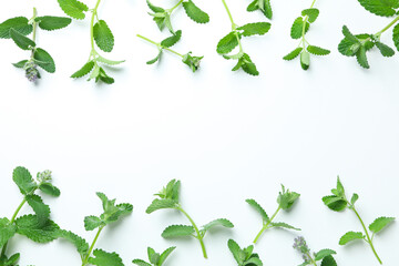 Concept of aromatherapy with mint, space for text