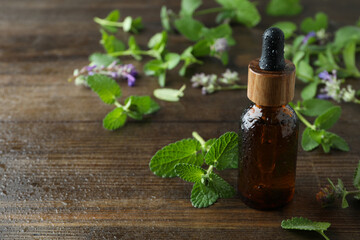 Concept of aromatherapy with mint, space for text