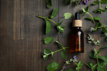 Concept of aromatherapy with mint, space for text - obrazy, fototapety, plakaty