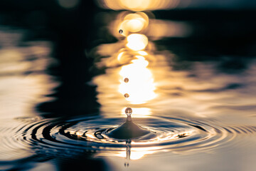 Water ripple. Water drop and circles on the water surface. Rings on the river with sunset light on the background.